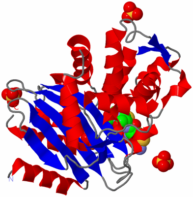 Image Asym./Biol. Unit