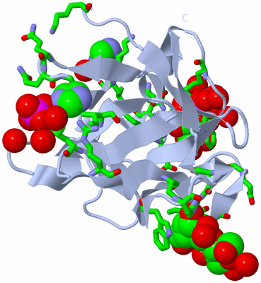 Image Biol. Unit 1 - sites