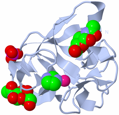 Image Biological Unit 1