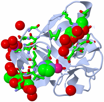 Image Biol. Unit 1 - sites