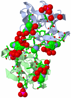 Image Asym. Unit - sites