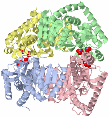 Image Asym./Biol. Unit