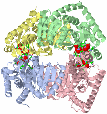 Image Asym./Biol. Unit - sites