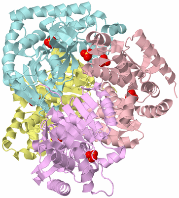 Image Biological Unit 2