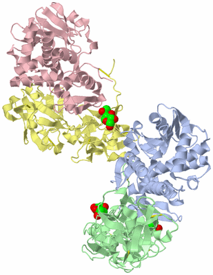 Image Biological Unit 1