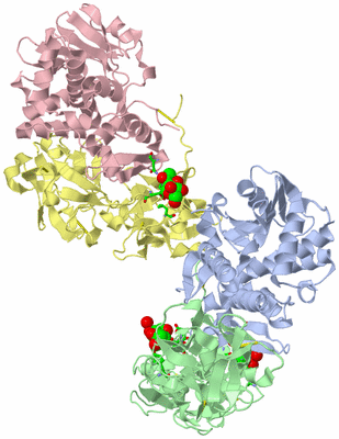 Image Biol. Unit 1 - sites