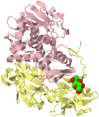 Image Biological Unit 3