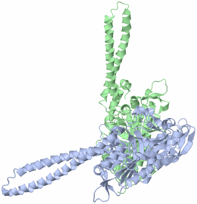 Image Asym./Biol. Unit