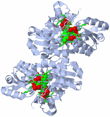 Image Biol. Unit 1 - sites