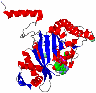 Image Asym./Biol. Unit