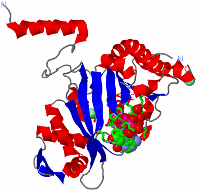 Image Asym./Biol. Unit - sites