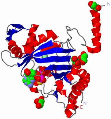 Image Asym./Biol. Unit