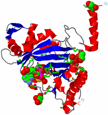 Image Asym./Biol. Unit - sites