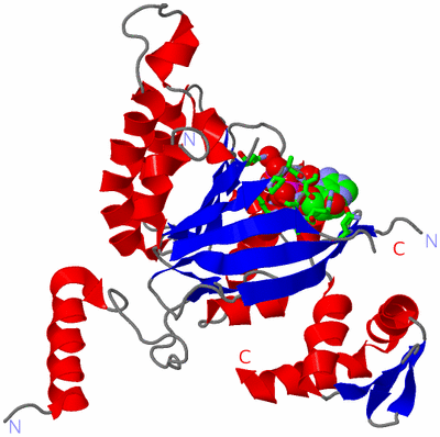 Image Asym./Biol. Unit - sites