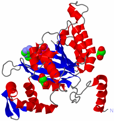 Image Asym./Biol. Unit