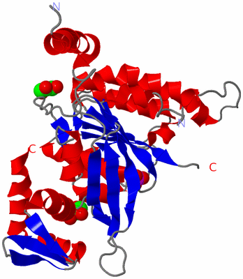 Image Asym./Biol. Unit