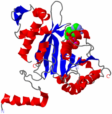 Image Asym./Biol. Unit