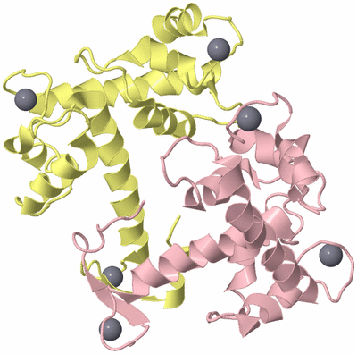 Image Biological Unit 2