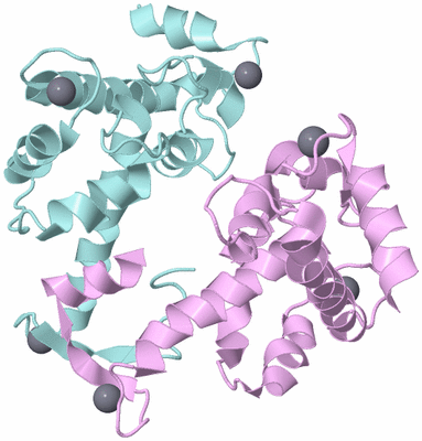 Image Biological Unit 3