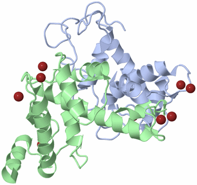 Image Biological Unit 1