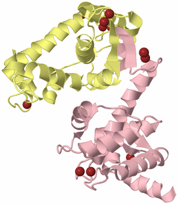 Image Biological Unit 2