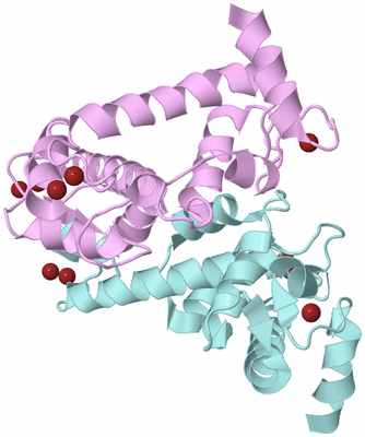 Image Biological Unit 3