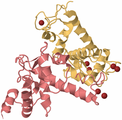 Image Biological Unit 4