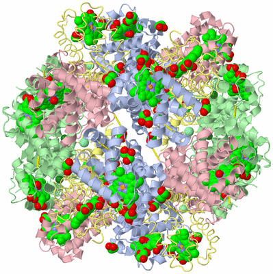 Image Biological Unit 1