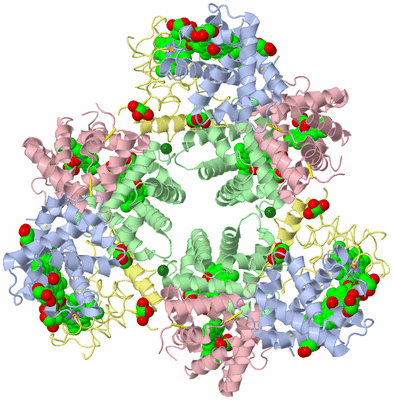 Image Biological Unit 2