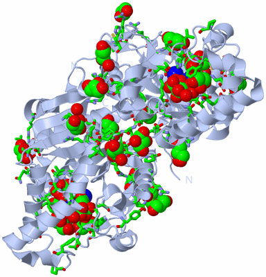 Image Biol. Unit 1 - sites