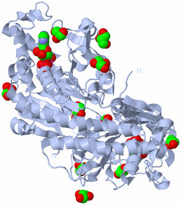 Image Biological Unit 1