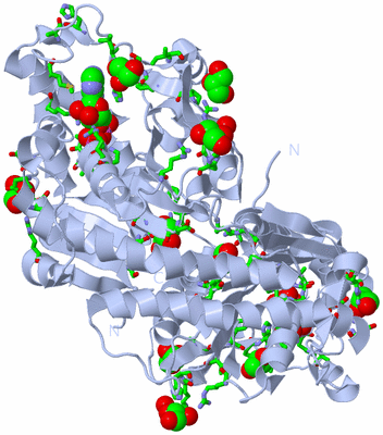 Image Biol. Unit 1 - sites