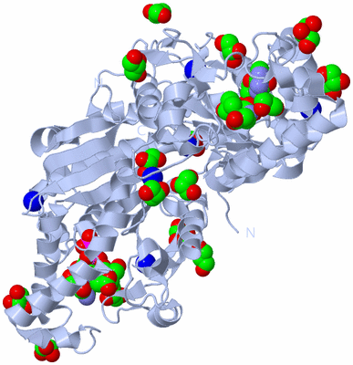 Image Biological Unit 1