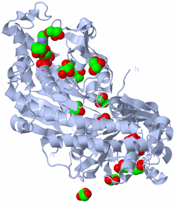 Image Biological Unit 1