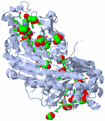 Image Biol. Unit 1 - sites