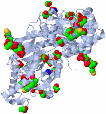 Image Biological Unit 1