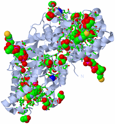 Image Biol. Unit 1 - sites