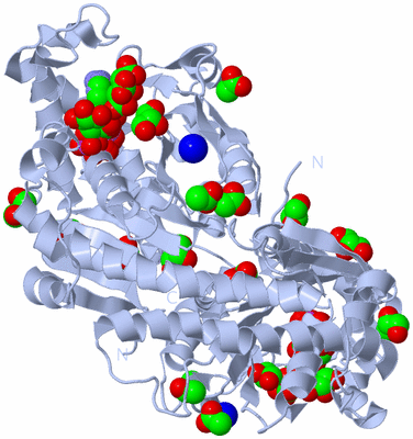 Image Biological Unit 1