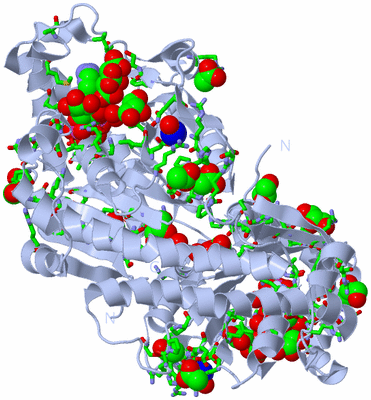 Image Biol. Unit 1 - sites