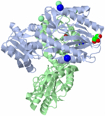 Image Asym./Biol. Unit