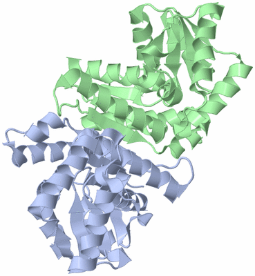 Image Asym./Biol. Unit