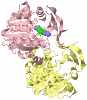 Image Biological Unit 2