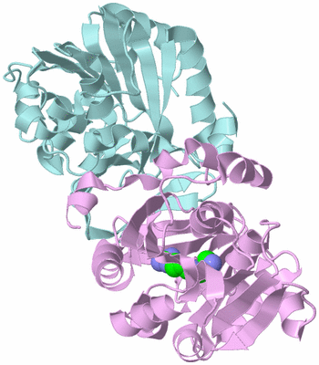 Image Biological Unit 3