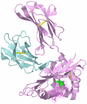 Image Biological Unit 2