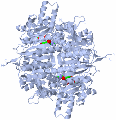 Image Biological Unit 1