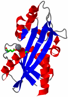 Image Asym. Unit - sites