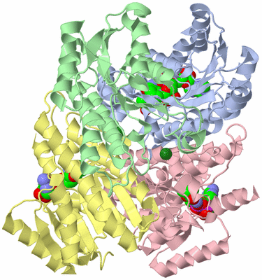 Image Asym./Biol. Unit