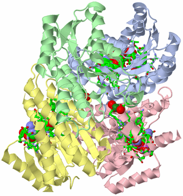 Image Asym./Biol. Unit - sites