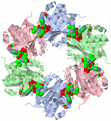 Image Biological Unit 1