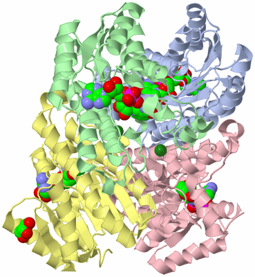 Image Asym./Biol. Unit